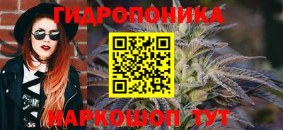 apvp Краснокаменск