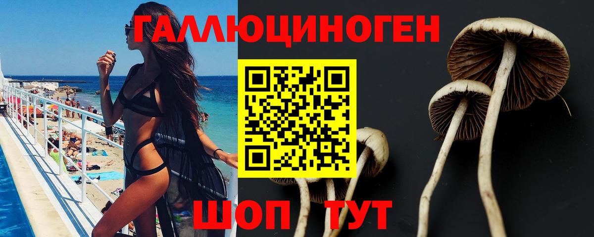 Псилоцибиновые грибы мухоморы  Вход с VPN  Канаш 