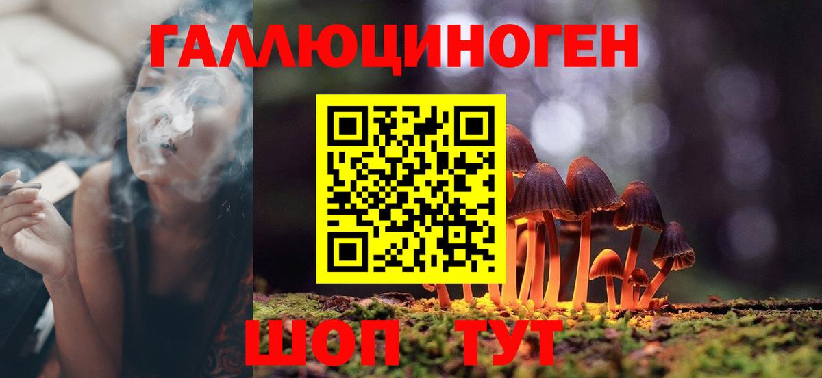 Псилоцибиновые грибы Magic Shrooms Канаш